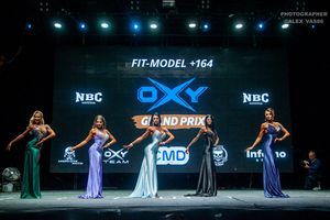 FIT-MODEL + 164 раунд 2